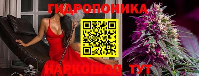 индика Краснознаменск
