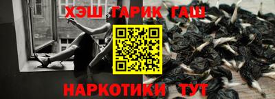 молекула духа Краснодар