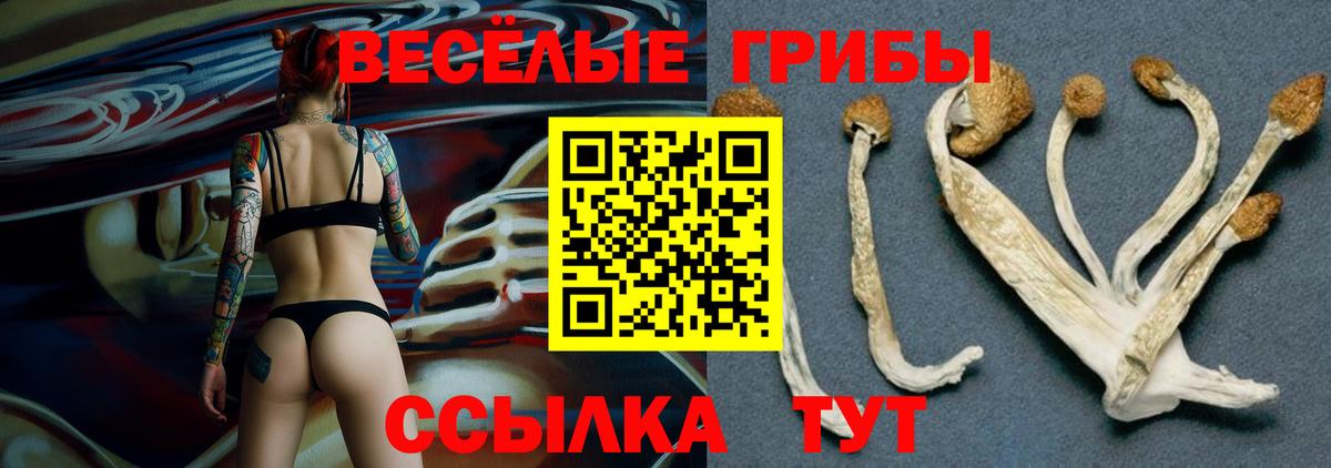 Кизилюрт  Псилоцибиновые грибы мицелий  Вход с VPN  Псилоцибиновые грибы ЛСД 